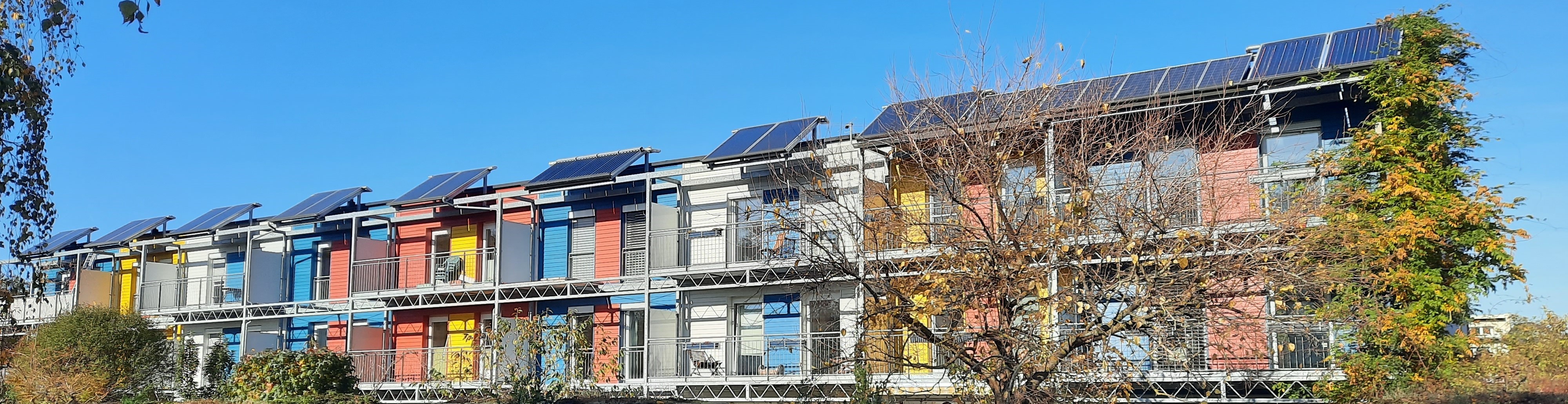 kranichstein_marlies_geschnitten_schmaler