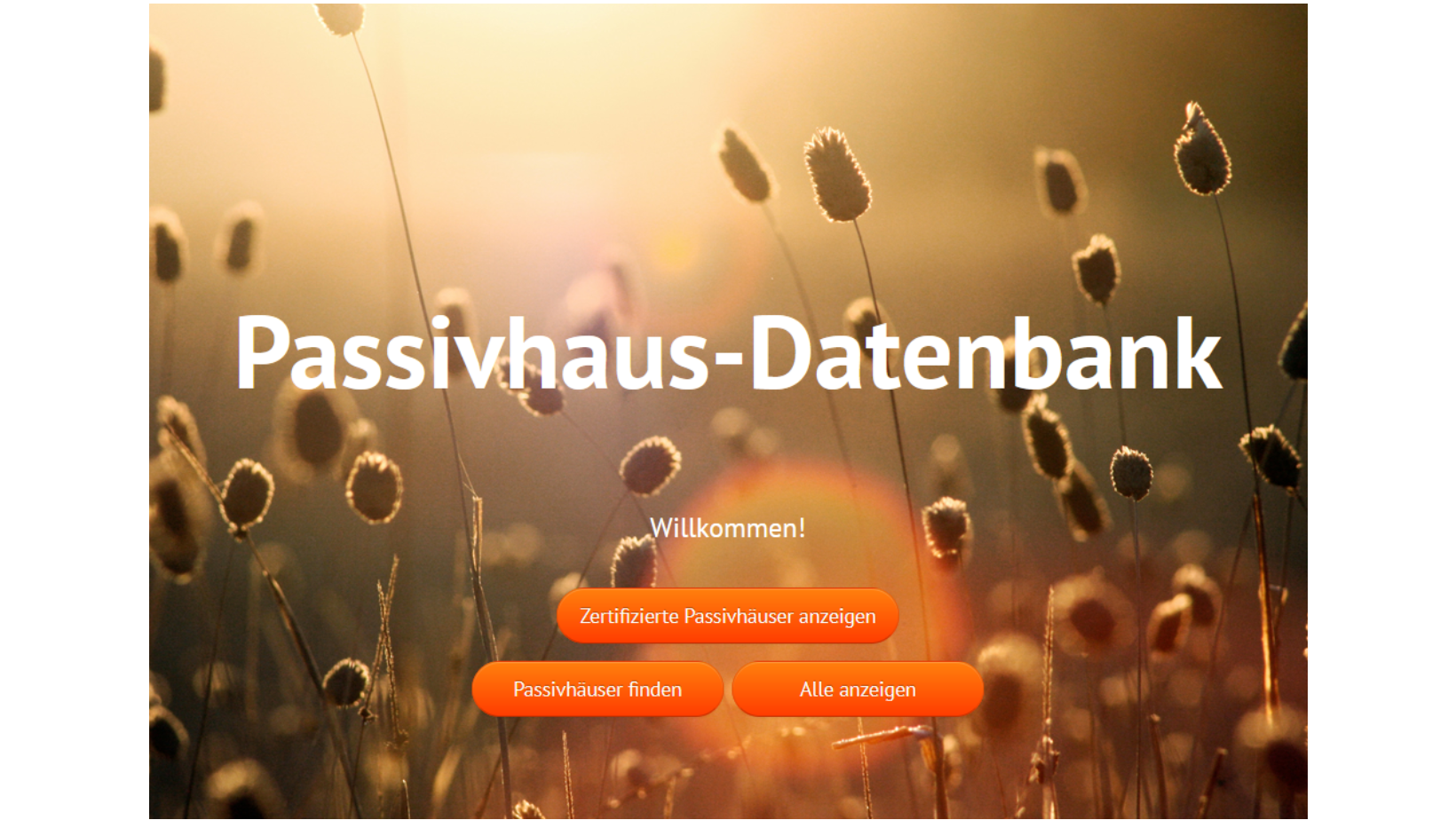 datenbank