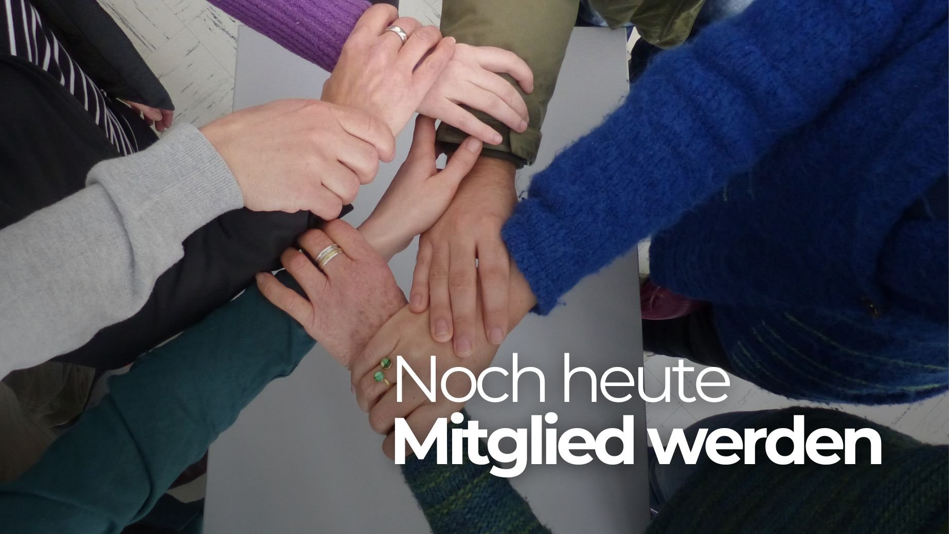 mitgliedshaft_homepage_ig